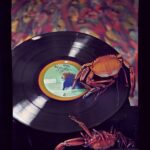 New Userpic. No Specific Lyrical Reference; Just Very Appropriate General Generative Hitchcockiana, Produced Serendipitously By While Trying To Generate A Psychedelic Portrait Of Eugene Mirman Listening To Shufflmania. thumbnail by Mike Kupietz