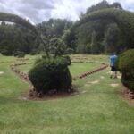 A Visit to Pearl Fryar’s Topiary — photojournal thumbnail by Mike Kupietz