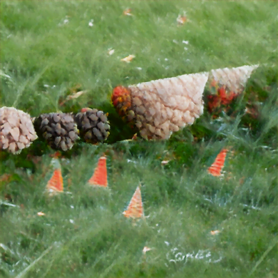 September cones