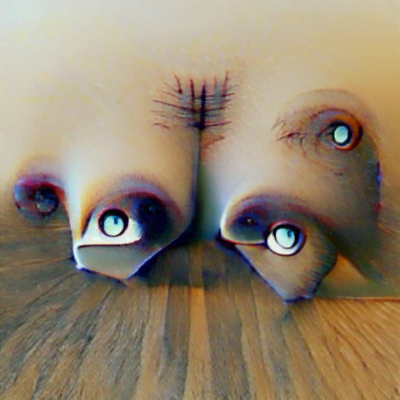 One long pair of eyes