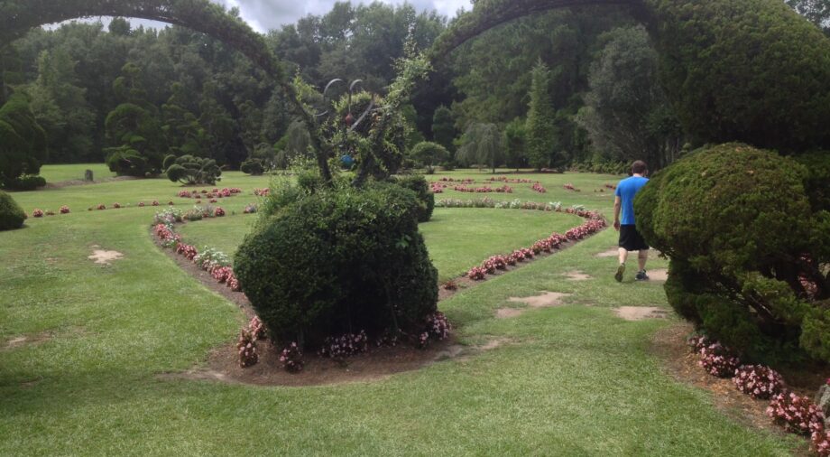 A Visit to Pearl Fryar's Topiary — photojournal, feature art by Mike Kupietz
