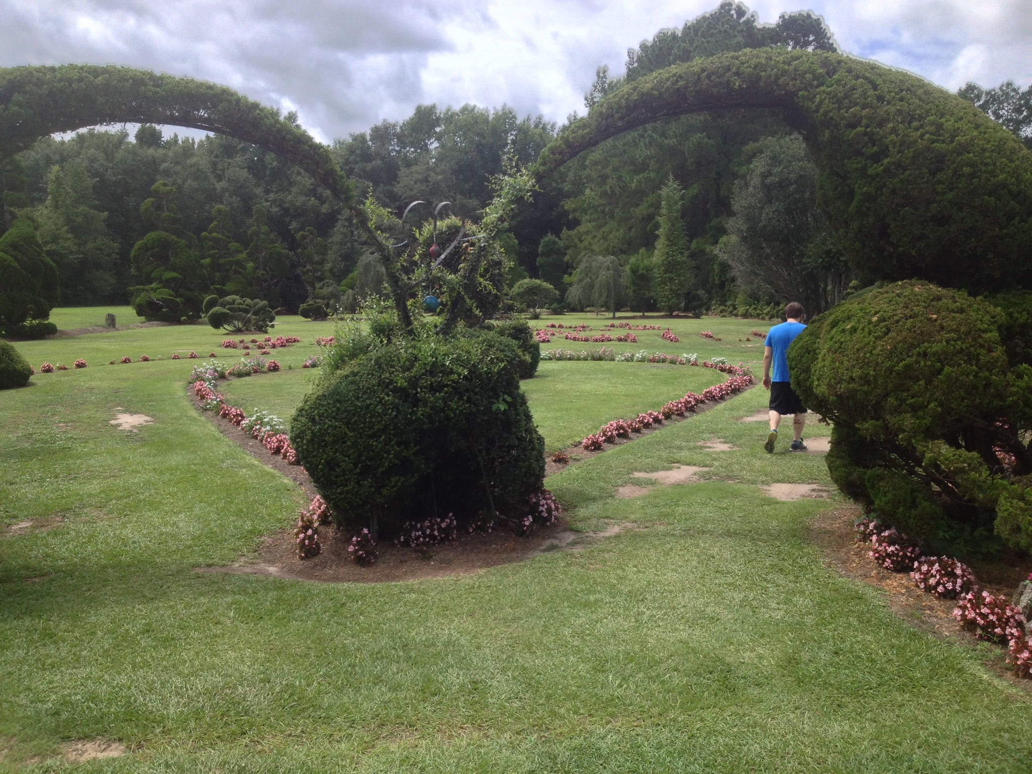 A Visit to Pearl Fryar’s Topiary — photojournal, feature art by Mike Kupietz