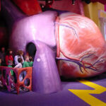 Franklin institute Giant Heart